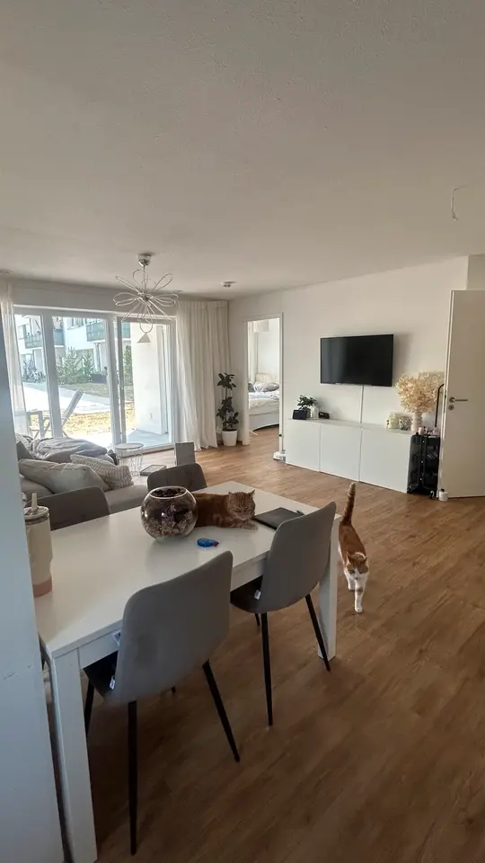 2 Zimmer Wohnung mit 560 m² in Regensburg – Bild 2