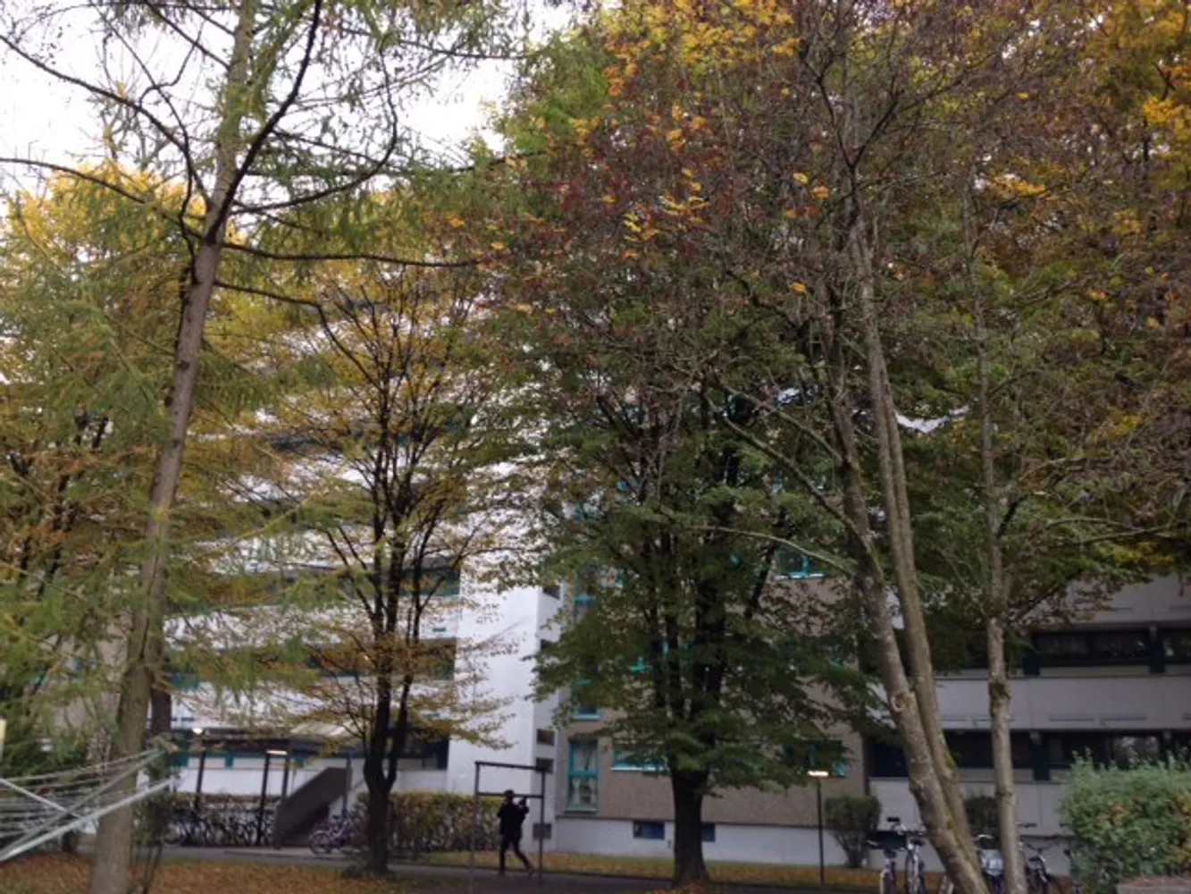2 room apartment with 55 m² in Munich – Photo 4