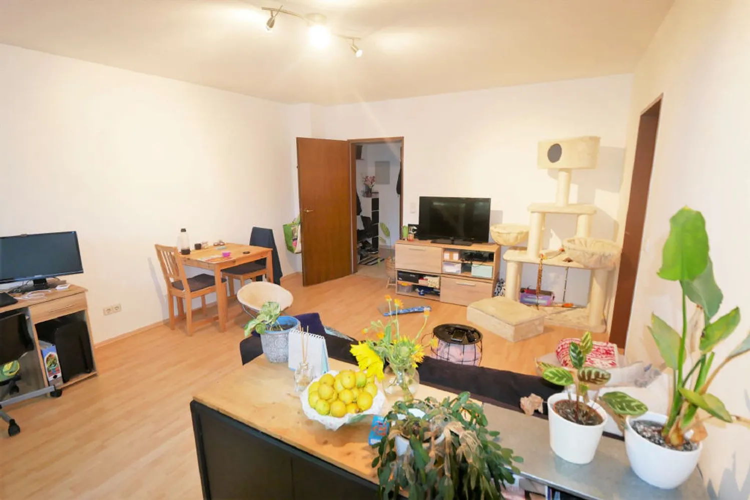 2 Zimmer Wohnung mit 52 m² in Coburg – Bild 6