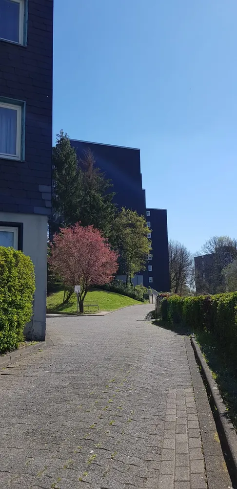 3 Zimmer Wohnung mit 85 m² in Siegen – Bild 9