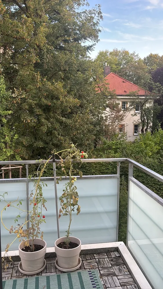 2 Zimmer Wohnung mit 53 m² in München – Bild 9