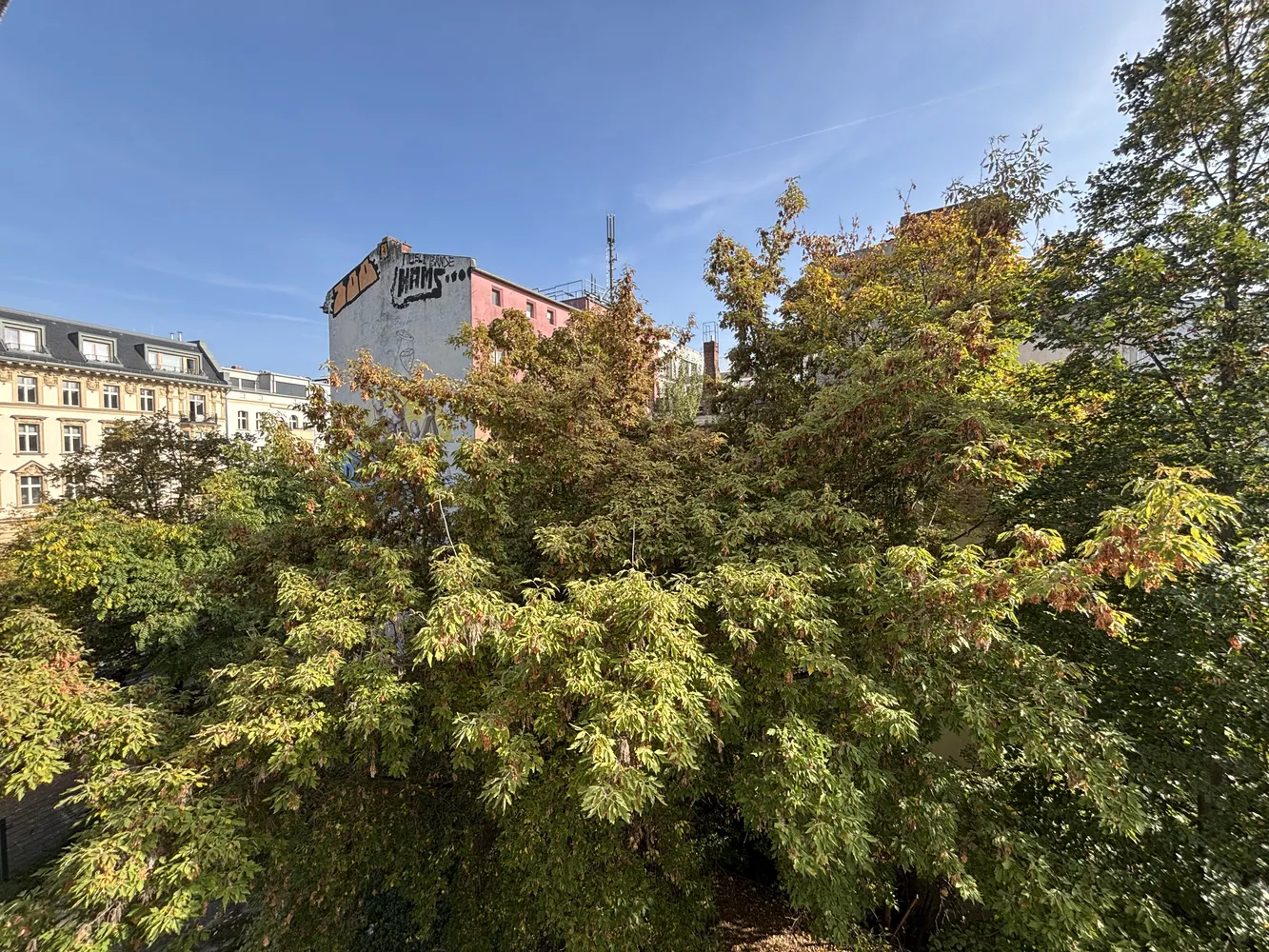 1 Zimmer Wohnung mit 42 m² in Berlin – Bild 1