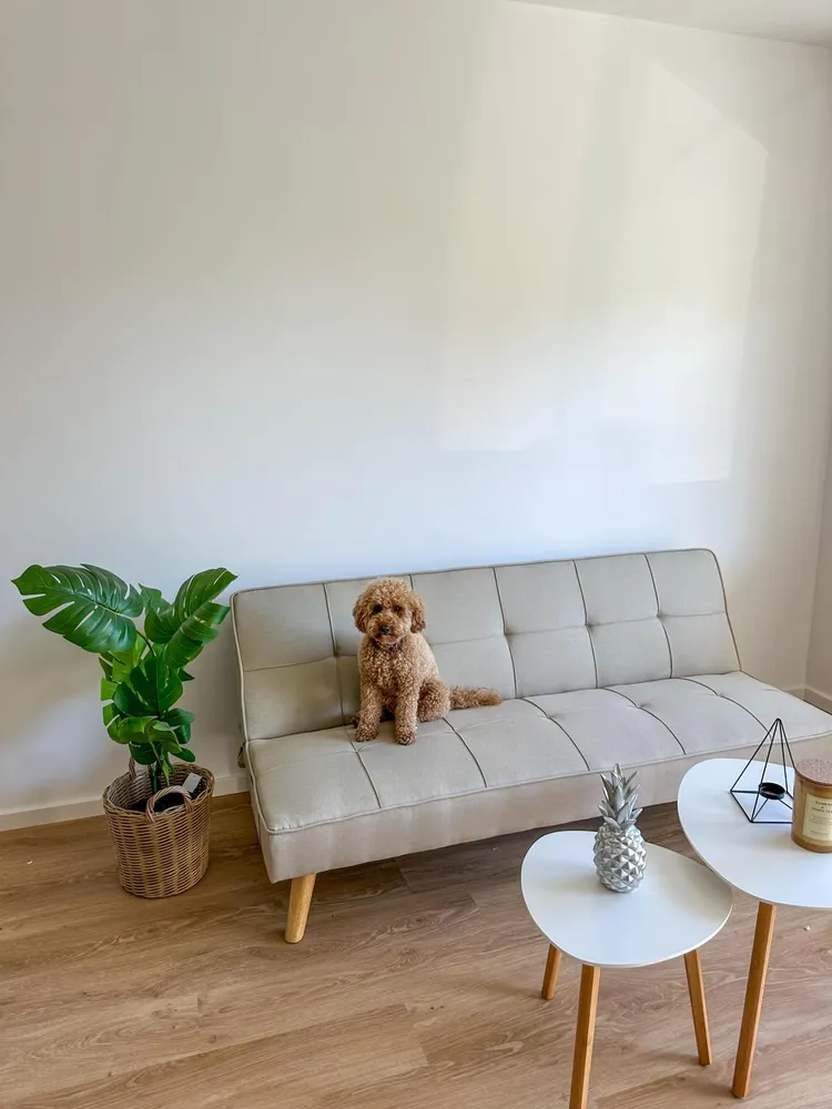 2 Zimmer Wohnung mit 58 m² in Darmstadt – Bild 3