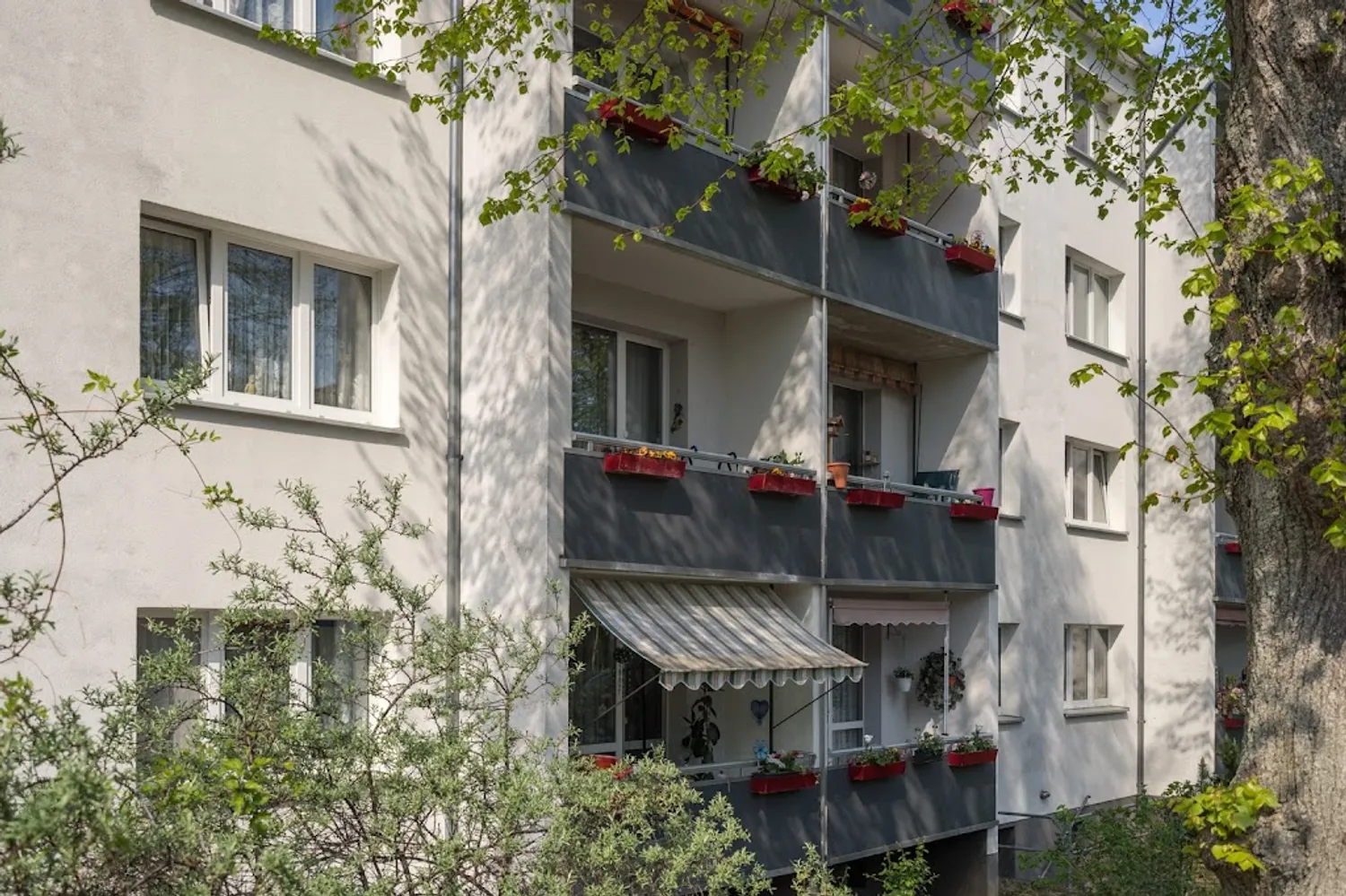 3 Zimmer Wohnung mit 57 m² in Naumburg (Saale) – Bild 2
