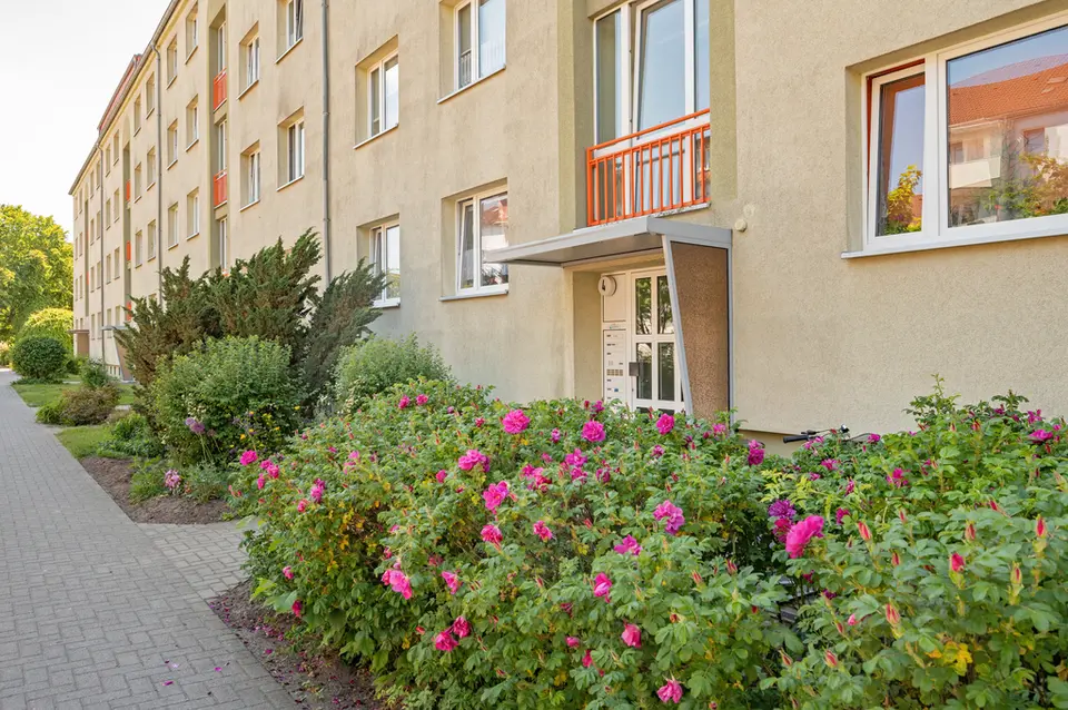 2 room apartment with 50 m² in Neubrandenburg – Photo 4