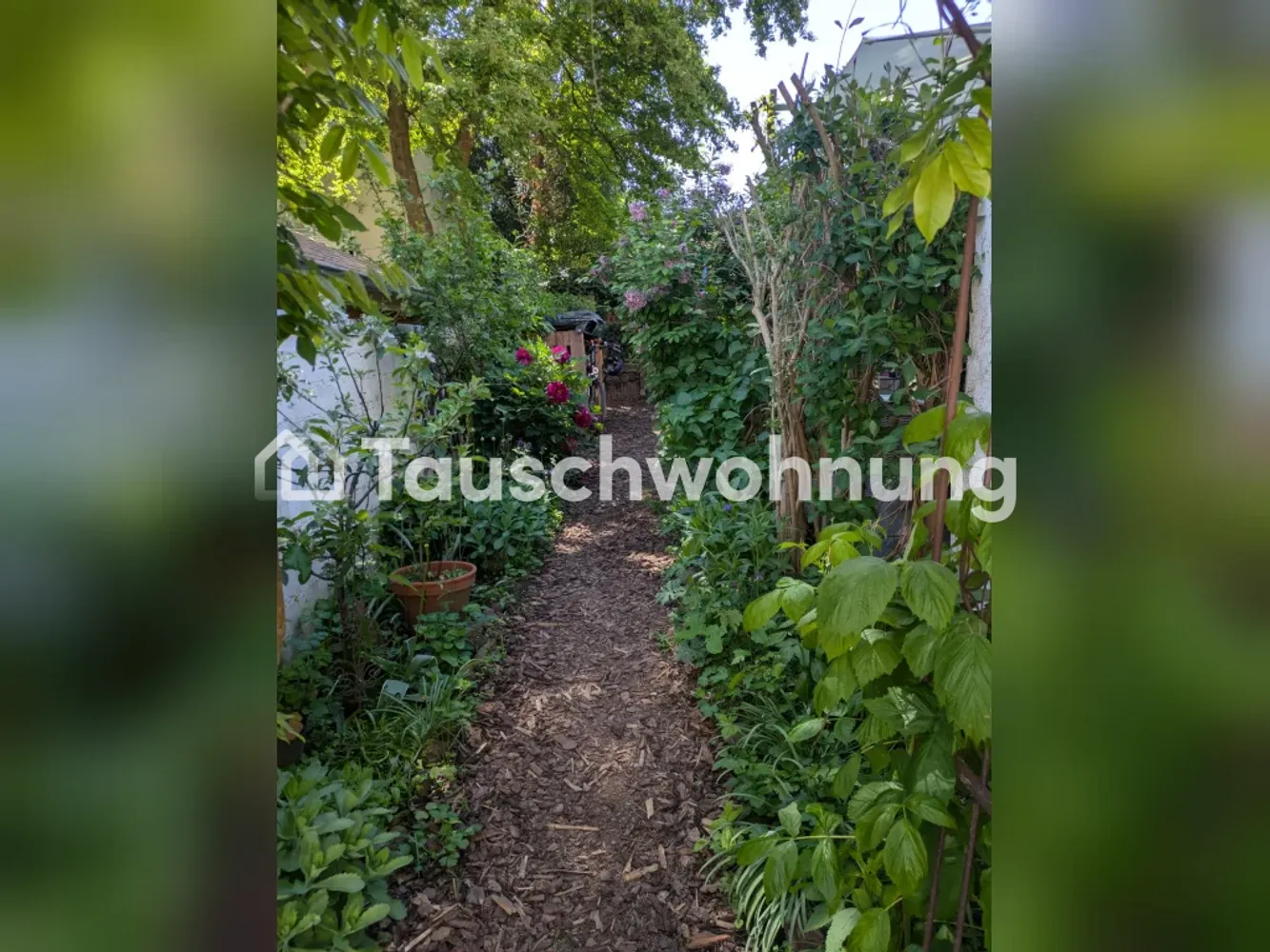 3 room house with 75 m² in Bonn – Photo 2