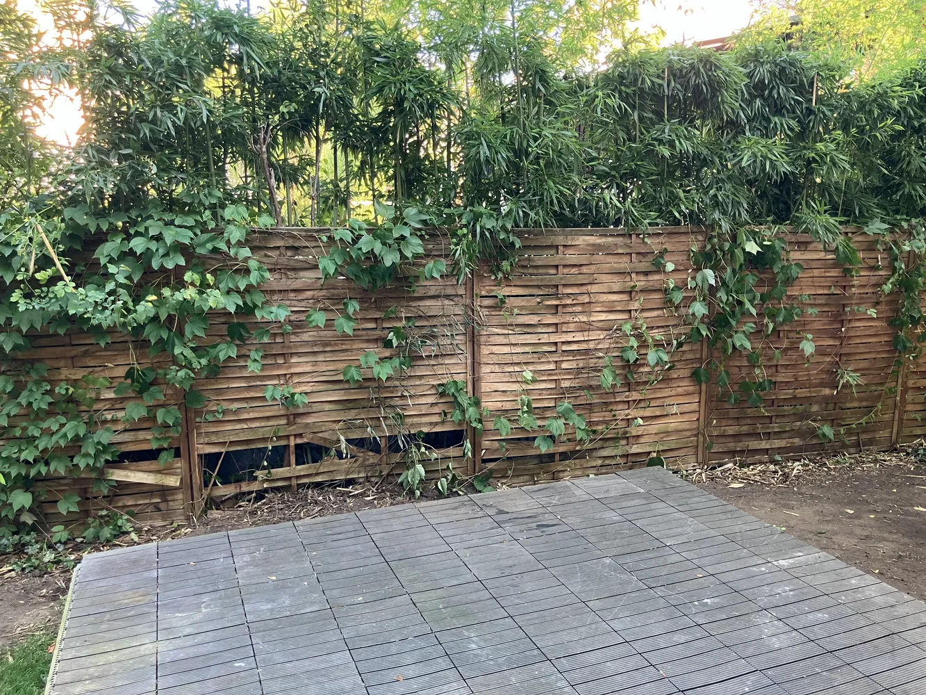 2 Zimmer Wohnung mit 64 m² in Berlin – Bild 8