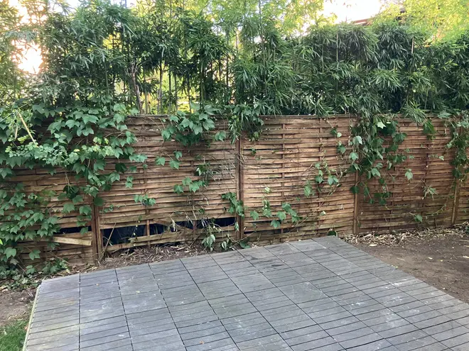2 Zimmer Wohnung mit 64 m² in Berlin – Bild 8