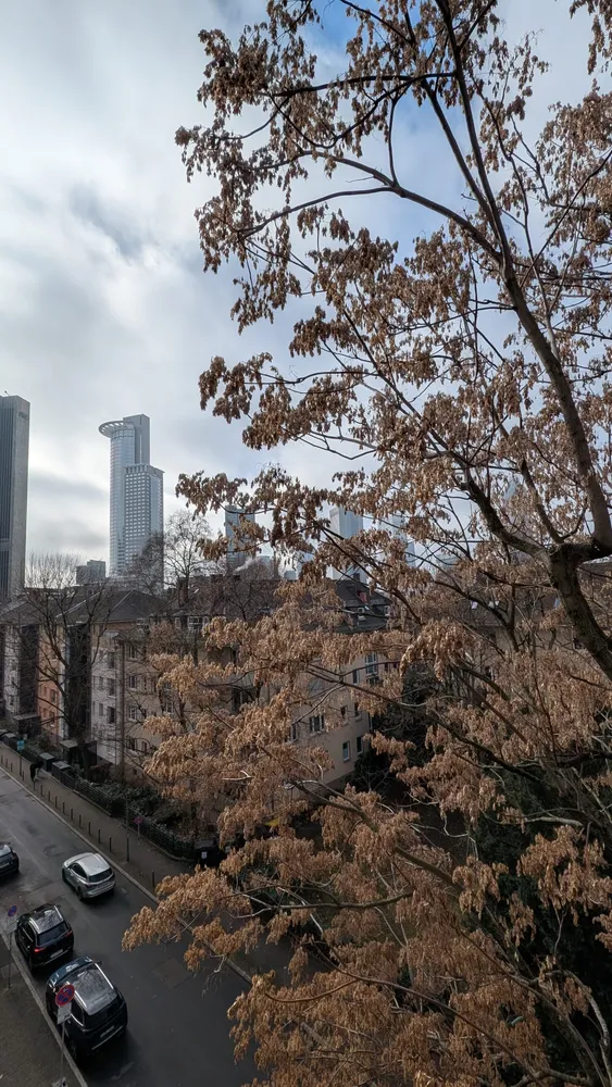 1 Zimmer Wohnung mit 24 m² in Frankfurt am Main – Bild 1