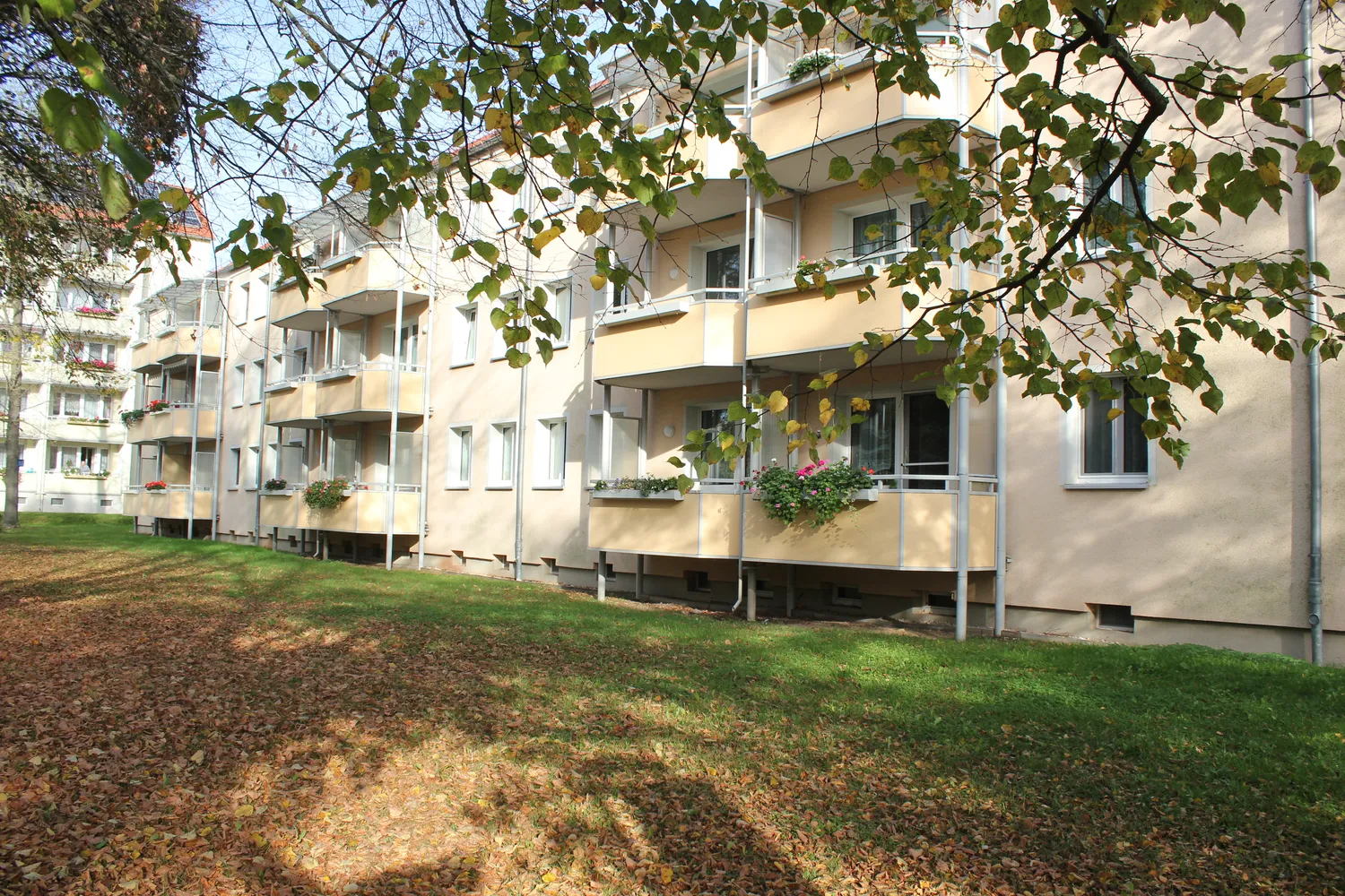 3 Zimmer Wohnung mit 60 m² in Chemnitz – Bild 4