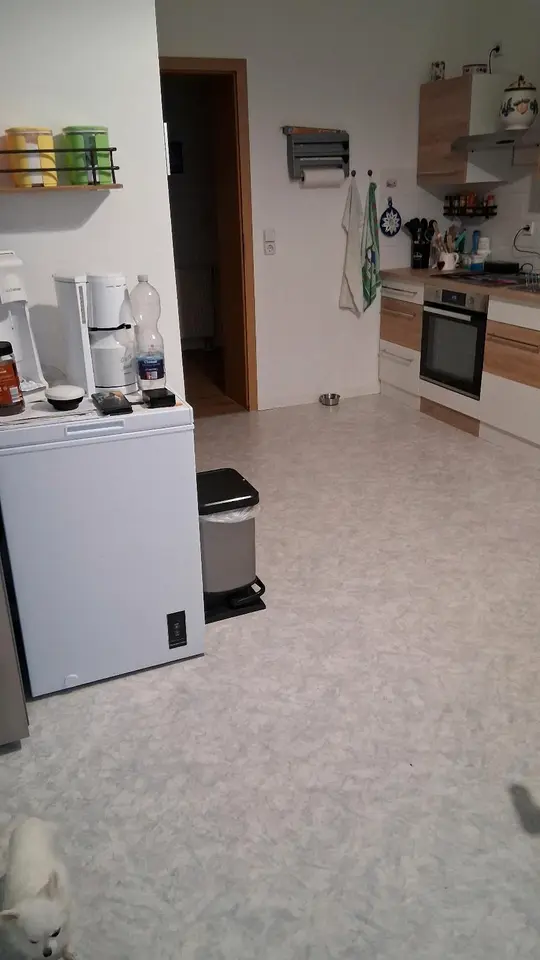 4 room apartment with 101 m² in Chemnitz – Photo 2