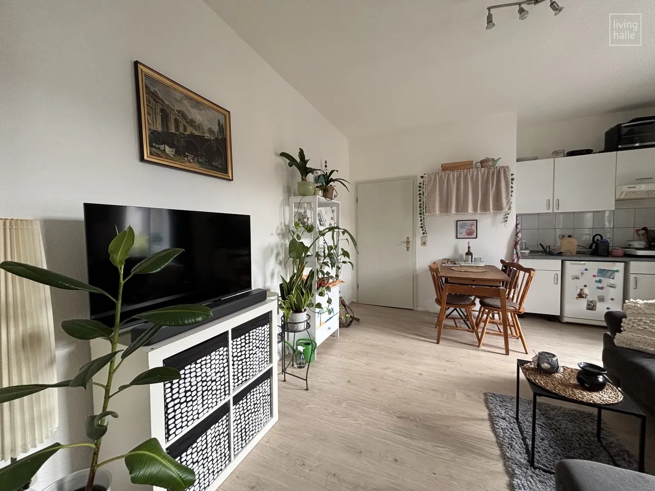 2 Zimmer Wohnung mit 50 m² in Halle (Saale) – Bild 7