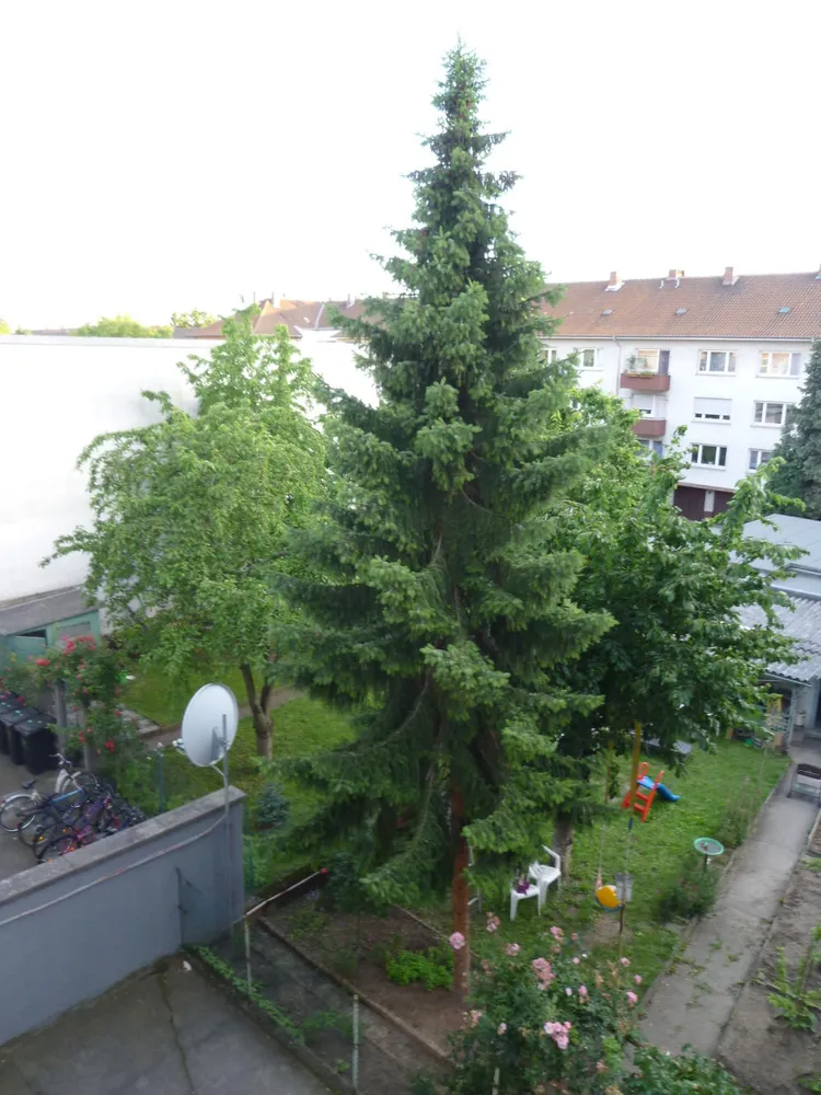 1 Zimmer Wohnung mit 37 m² in Mannheim – Bild 8