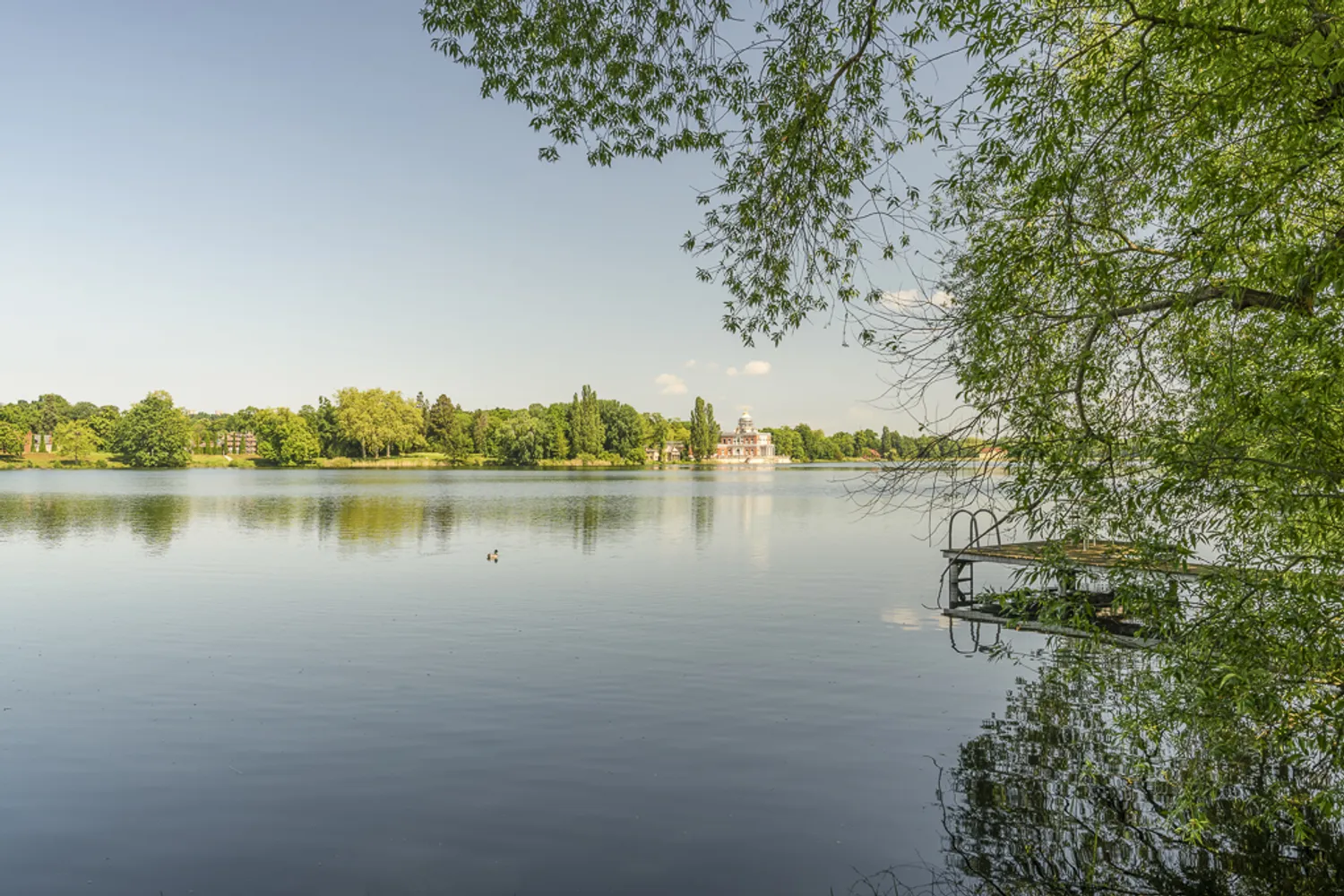 1 Zimmer Wohnung mit 48 m² in Potsdam – Bild 6