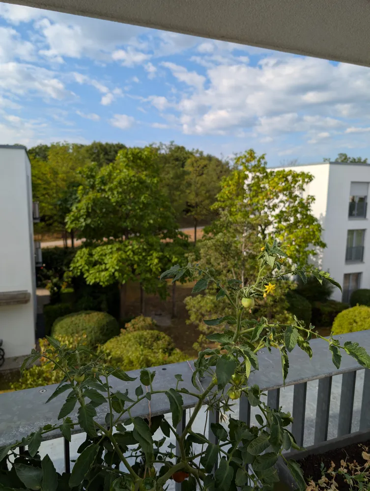 4 Zimmer Wohnung mit 90 m² in München – Bild 11