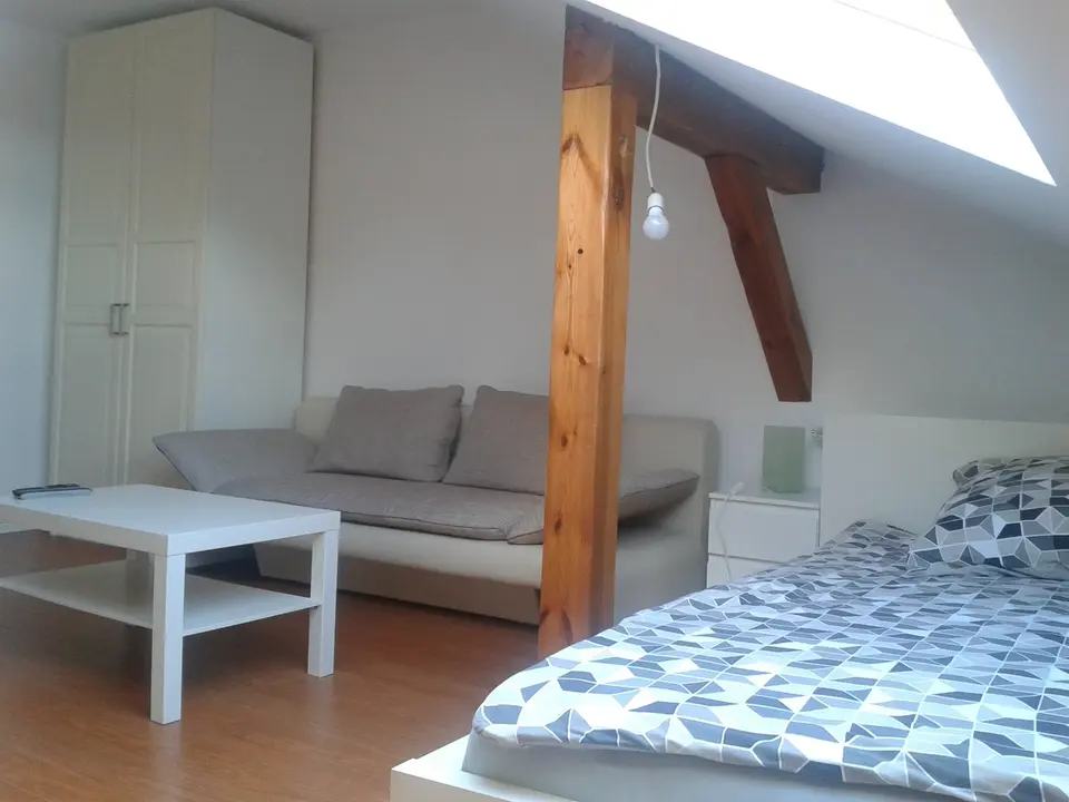 WG-Zimmer mit 22 m² in Miltenberg – Bild 3