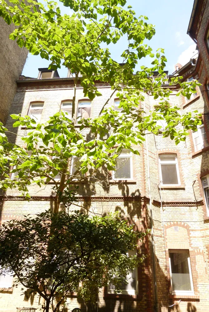3 Zimmer Wohnung mit 74 m² in Wiesbaden – Bild 2
