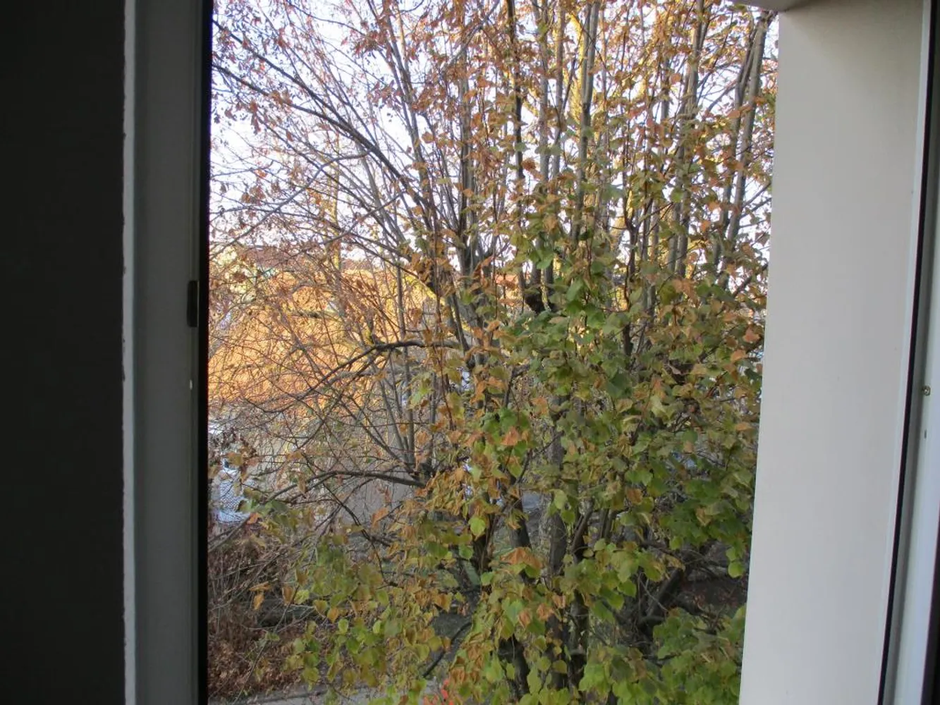 3 Zimmer Wohnung mit 57 m² in Leipzig – Bild 10