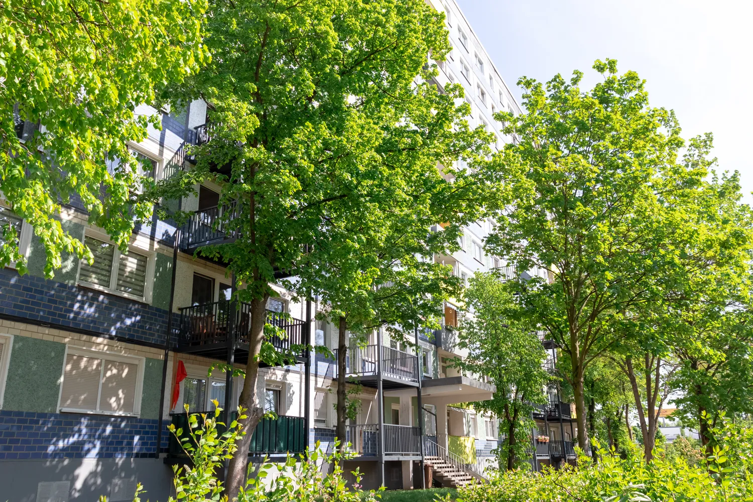 4 Zimmer Wohnung mit 70 m² in Halle (Saale) – Bild 7
