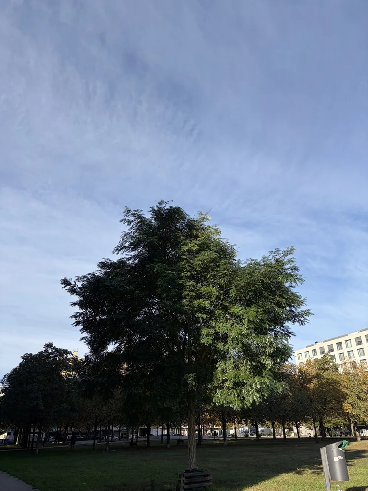 2 Zimmer Wohnung mit 54 m² in Berlin – Bild 3