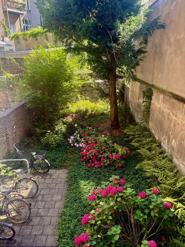3 Zimmer Wohnung mit 68 m² in Köln – Bild 9