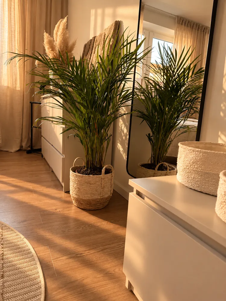 1 Zimmer Wohnung mit 35 m² in Düsseldorf – Bild 1