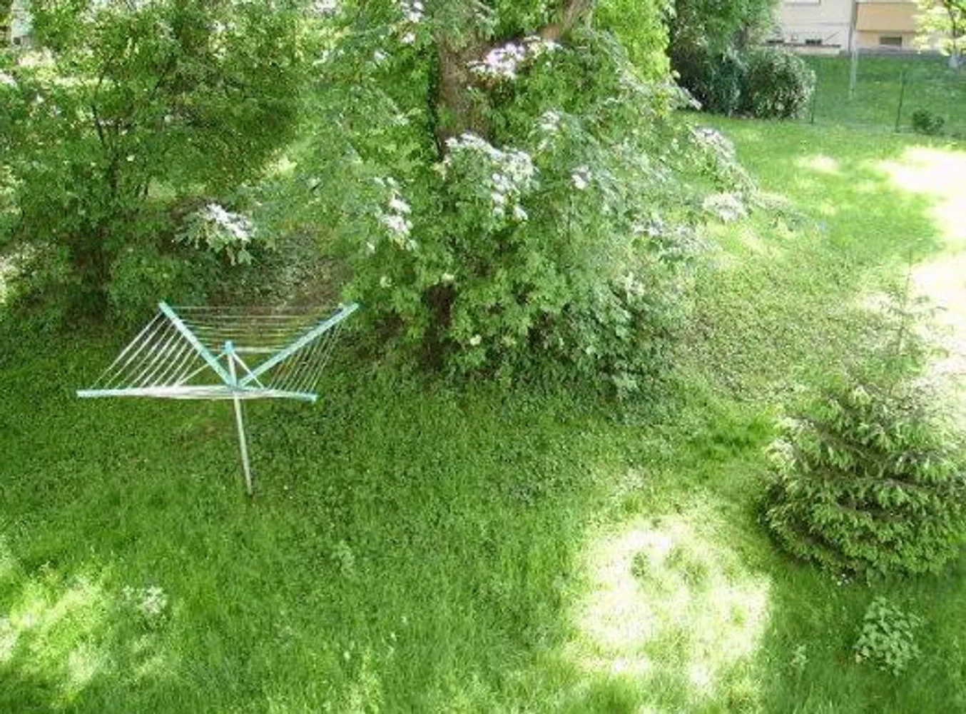 3 room apartment with 69 m² in Chemnitz – Photo 6