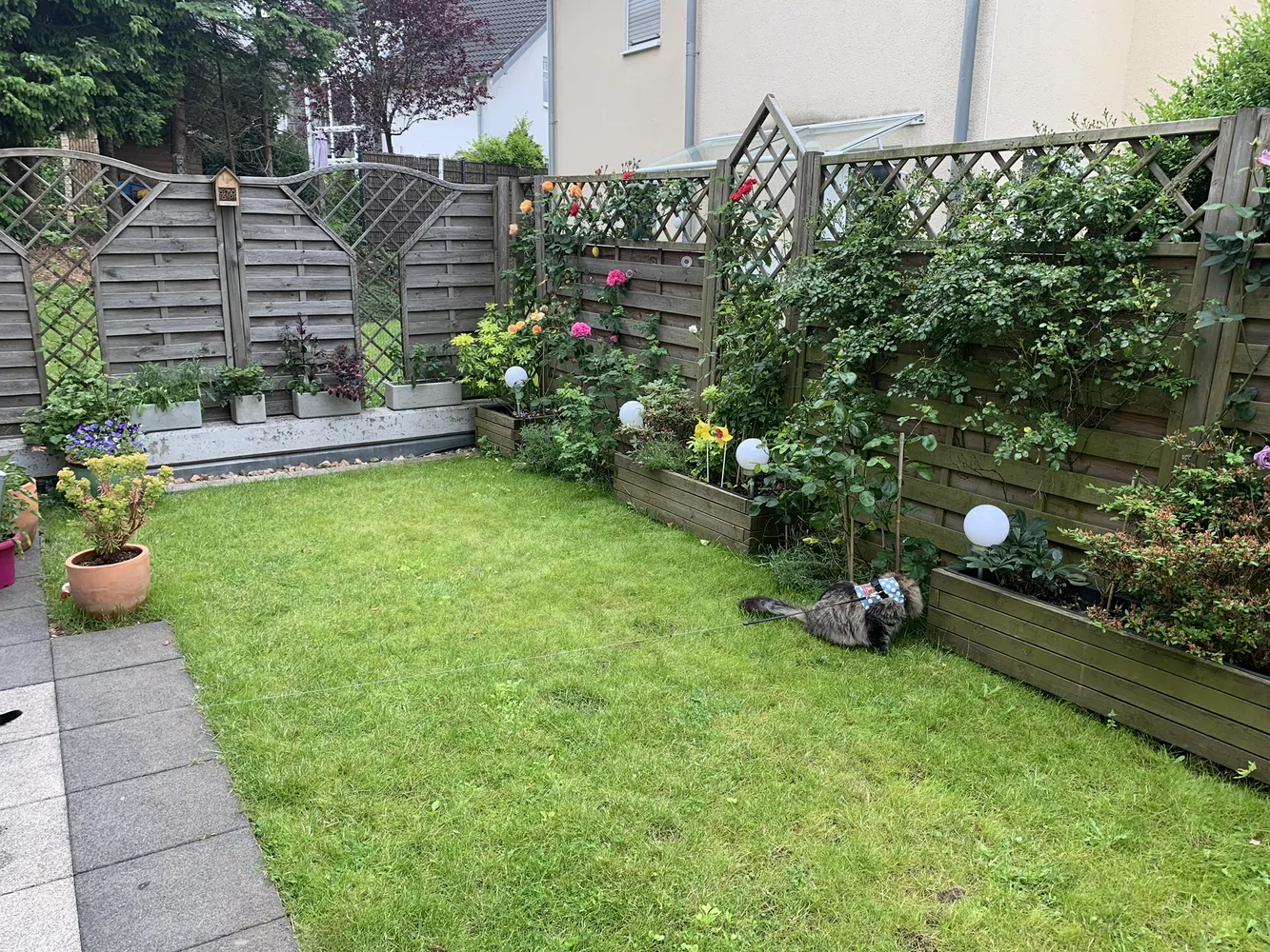 3 Zimmer Wohnung mit 77 m² in Hagen – Bild 3