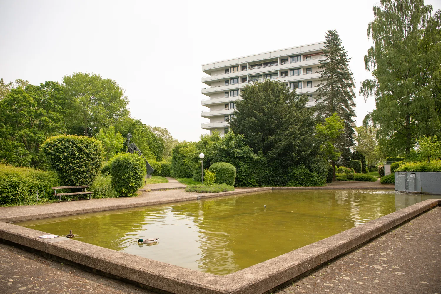 2 room apartment with 57 m² in Bonn – Photo 1