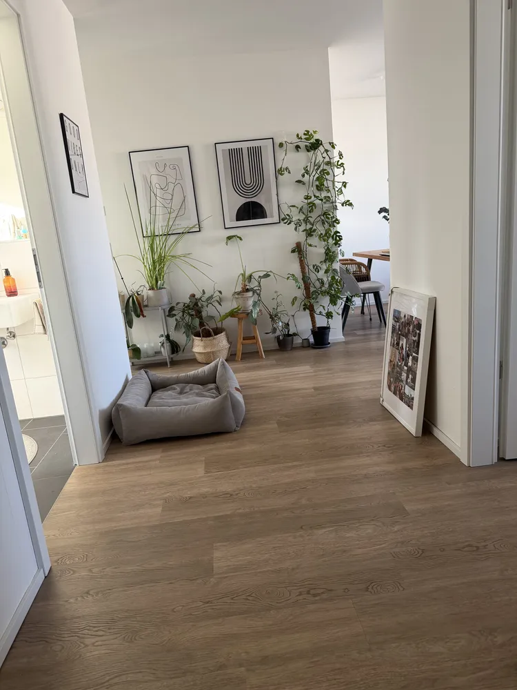 2 Zimmer Wohnung mit 66 m² in Düsseldorf – Bild 4