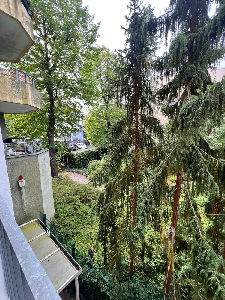 1 room apartment with 31 m² in Berlin – Photo 8