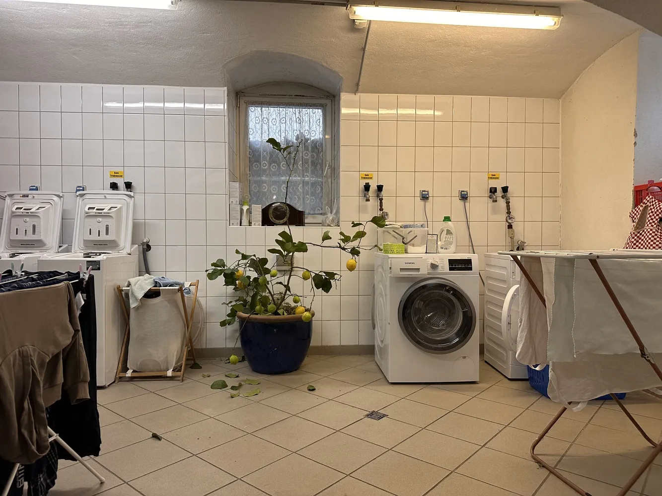 2 Zimmer Wohnung mit 70 m² in Dresden – Bild 8