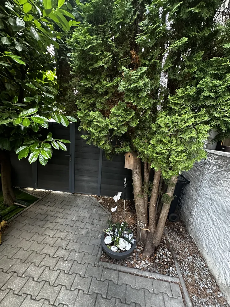 1 Zimmer Haus mit 51 m² in Weißenfels – Bild 4