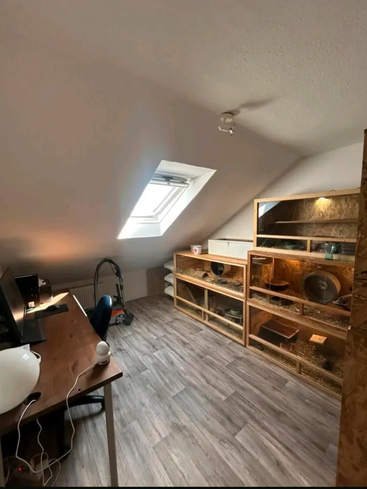 3 Zimmer Wohnung mit 65 m² in Georgsmarienhütte – Bild 2
