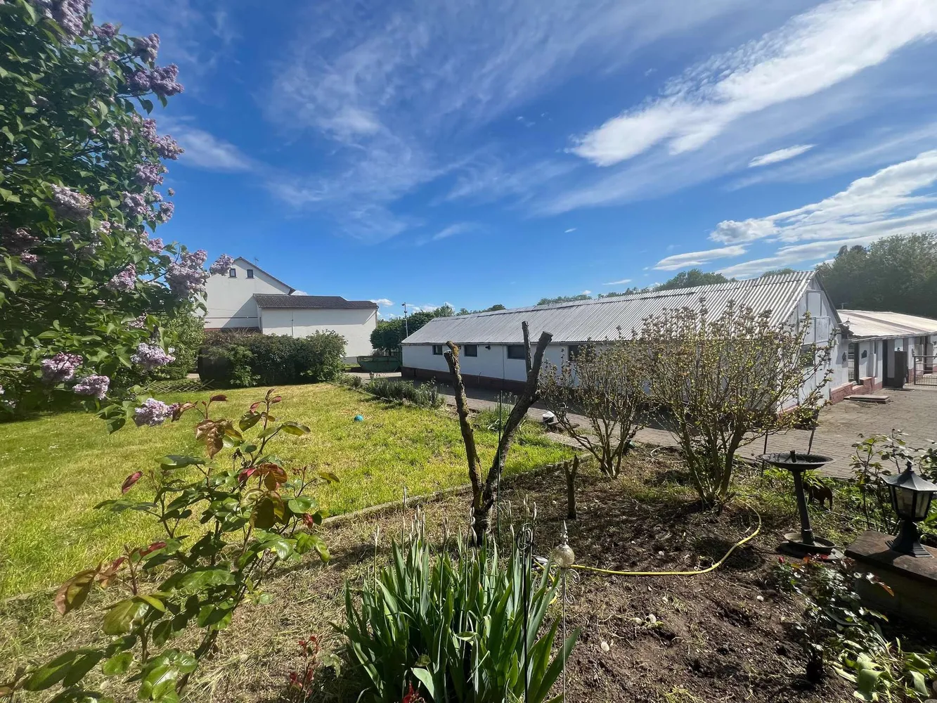 10 Zimmer Haus mit 290 m² in Wiesbaden – Bild 8