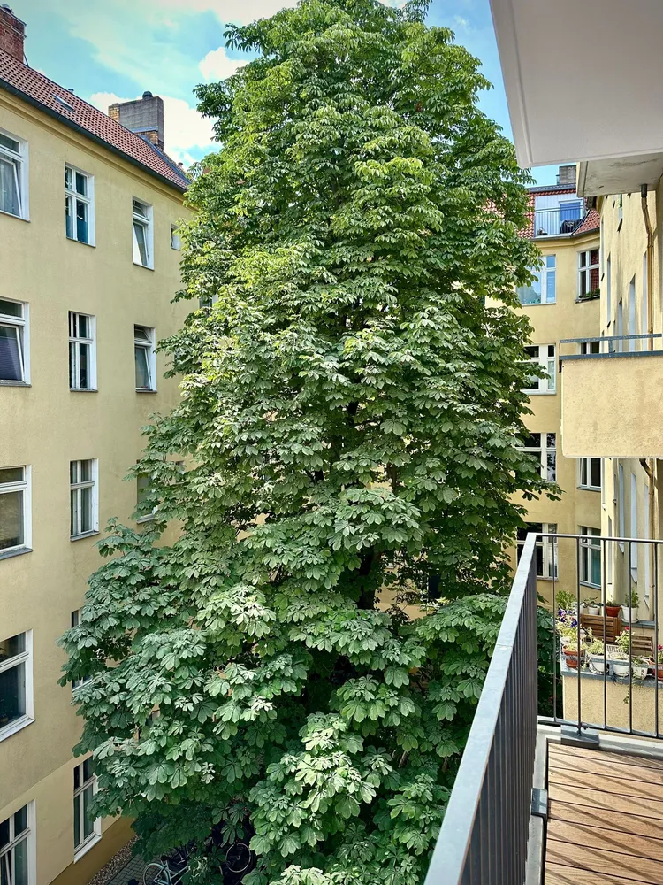2 Zimmer Wohnung mit 56 m² in Berlin – Bild 2
