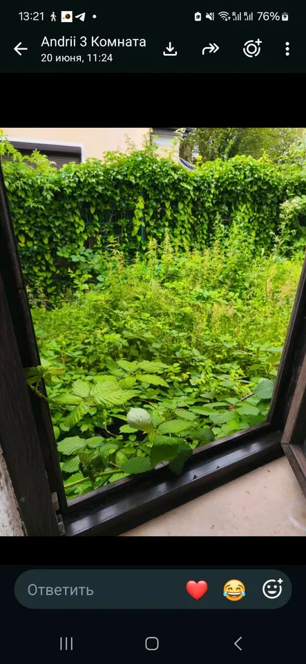 WG-Zimmer mit 25 m² in Bremen – Bild 5