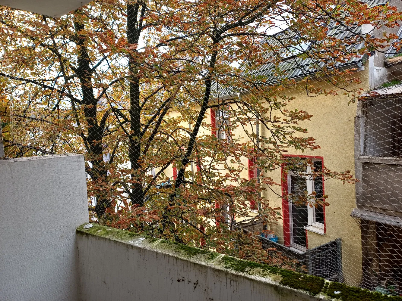 2 Zimmer Wohnung mit 40 m² in Düsseldorf – Bild 3