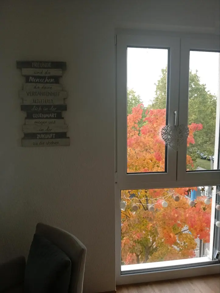 2 Zimmer Wohnung mit 42 m² in Dresden – Bild 6