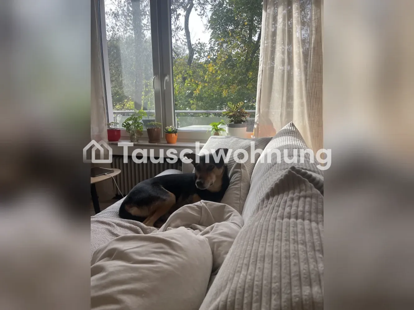 3 Zimmer Wohnung mit 53 m² in Köln – Bild 1