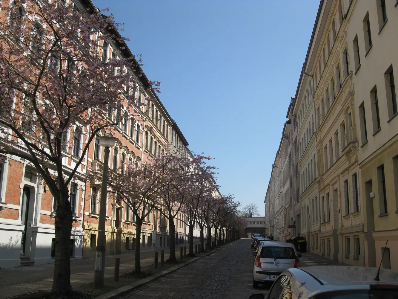 2 Zimmer Wohnung mit 54 m² in Halle (Saale) – Bild 2
