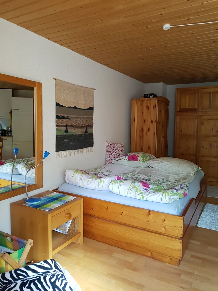 1 room apartment with 30 m² in Radolfzell am Bodensee – Photo 5