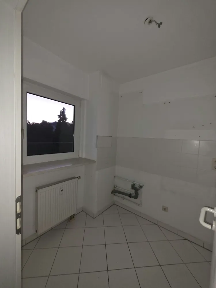 3 Zimmer Wohnung mit 65 m² in Dresden – Bild 1
