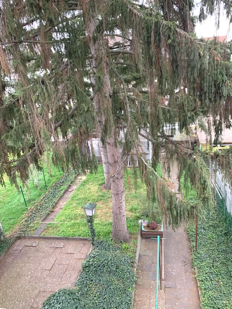 2 Zimmer Wohnung mit 48 m² in Mannheim – Bild 6