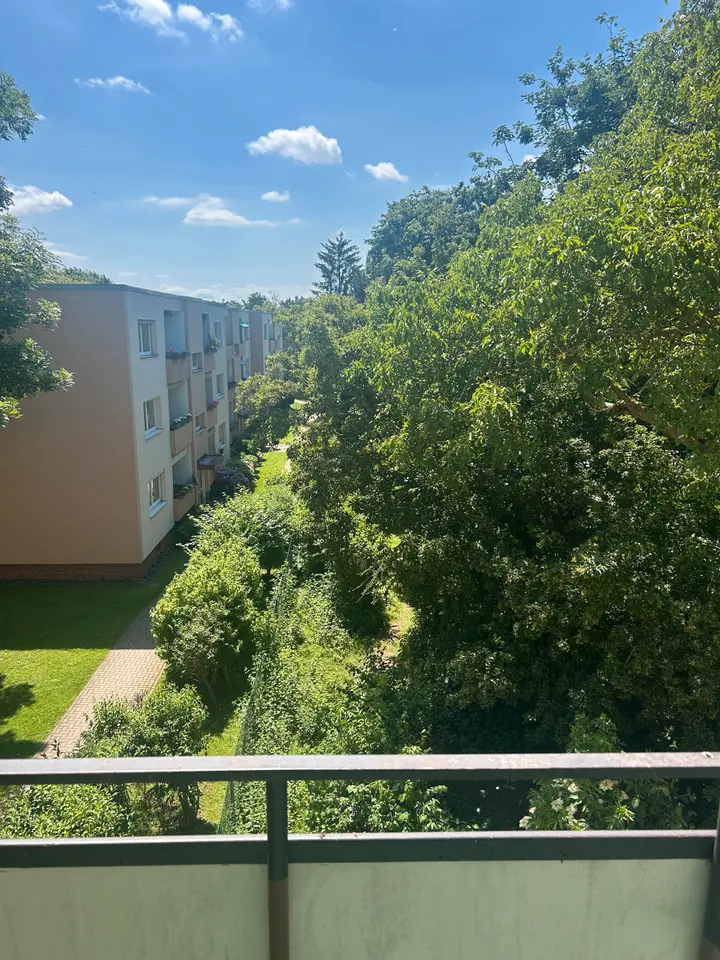 2 Zimmer Wohnung mit 38 m² in Braunschweig – Bild 4
