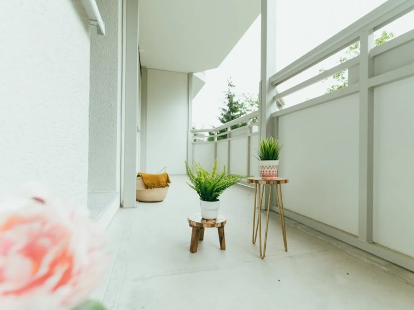 1 room apartment with 36 m² in Magdeburg – Photo 11
