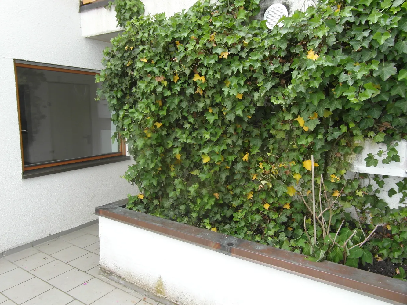 3 Zimmer Wohnung mit 78 m² in Freiburg im Breisgau – Bild 3