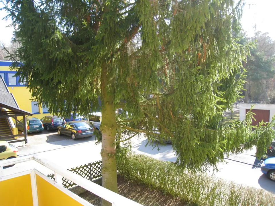 2 Zimmer Wohnung mit 60 m² in Wiesbaden – Bild 4