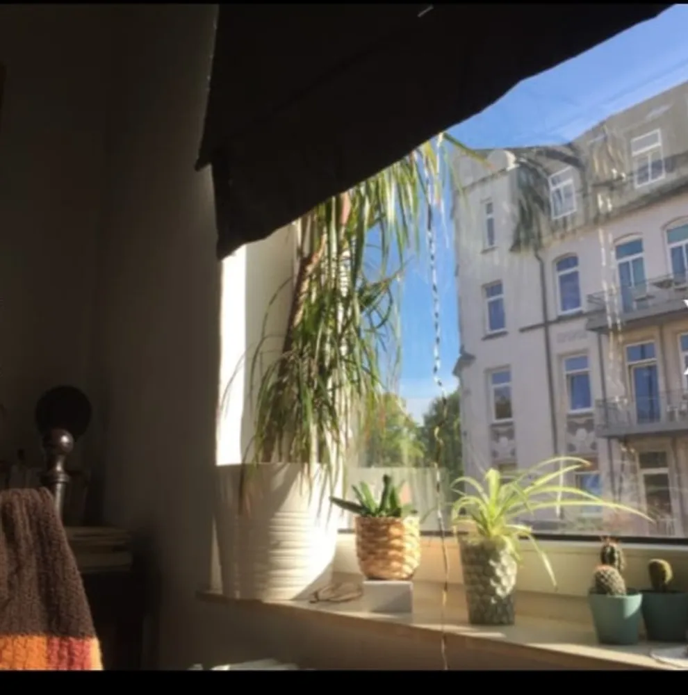 2 Zimmer Wohnung mit 48 m² in Kiel – Bild 4
