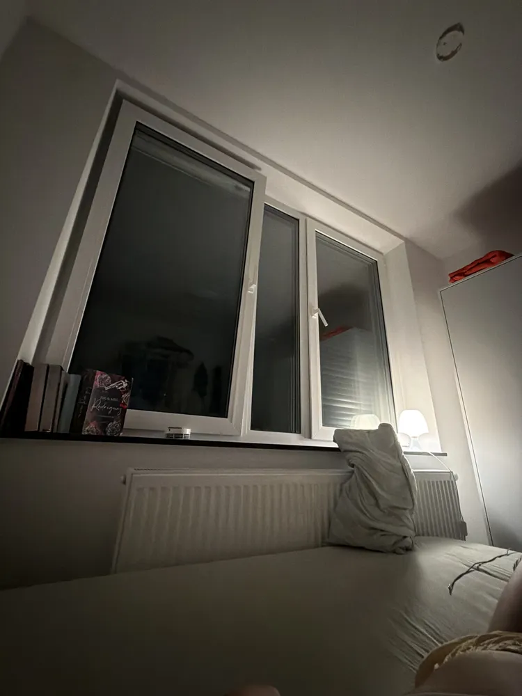 1 Zimmer Wohnung mit 15 m² in Bornheim – Bild 2